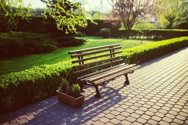 Bench in front of a neat hedge row with a lawn and bushes behind