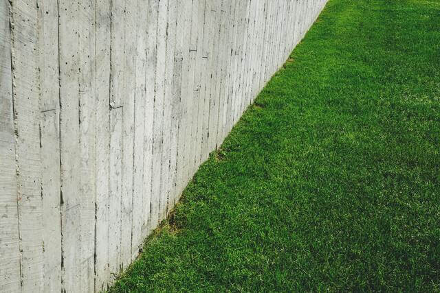 Close up of neatly cut grass meeting with a wall