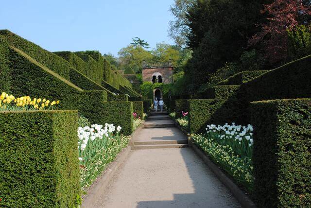 Pathway leading to a building with square cut hedges and colorful flowers on either side