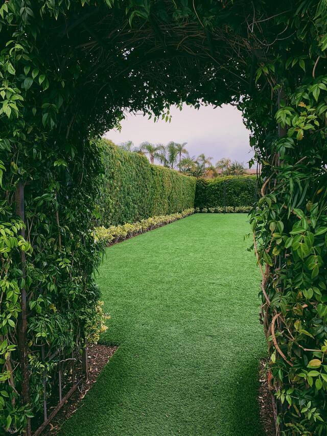 Cut lawn surrounded with a neatly cut hedge, framed with an archway through the hedge