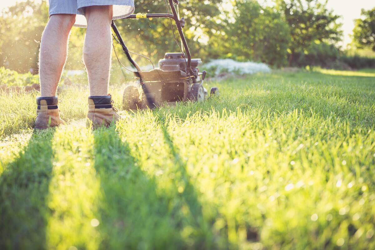 Man with lawnmower just starting to cut an overgrown lawn